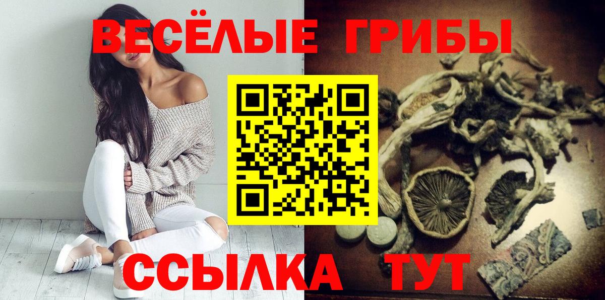Псилоцибиновые грибы Psilocybe Южно-Сахалинск