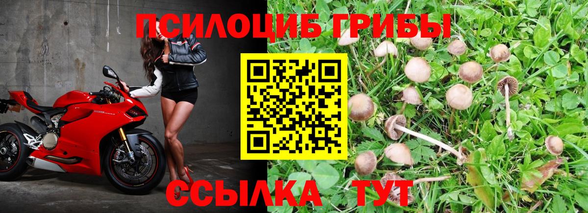 Южно-Сахалинск  Псилоцибиновые грибы MAGIC MUSHROOMS  Вход с VPN 